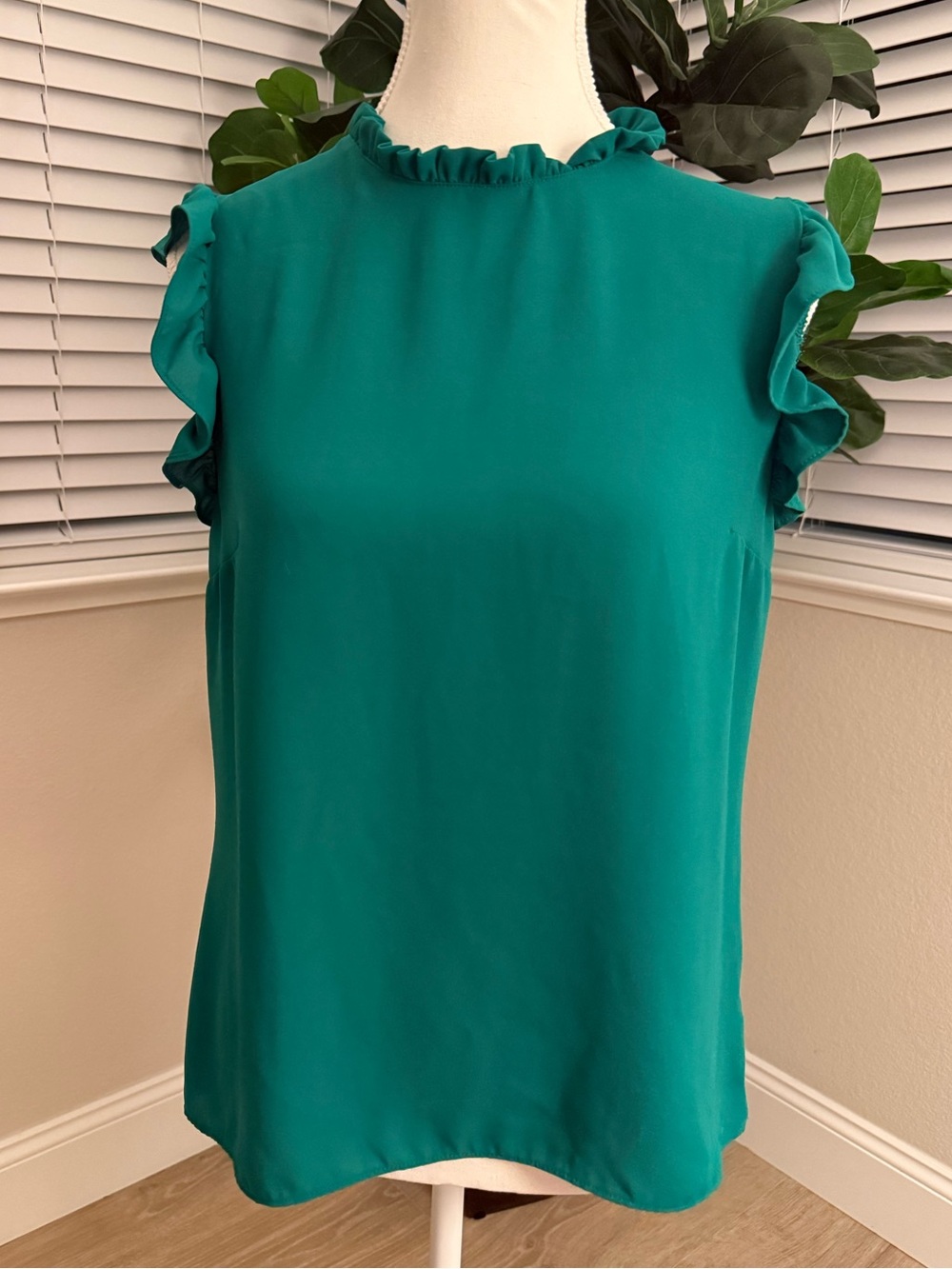 EXPRESS Ruffled Sleeveless Blouse Size S
